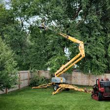 Best Tree Mulching  in West Peoria, IL